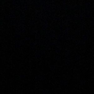 Meet your Posher, Shanerria